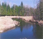 Castle Highlands Golf Course Lots for Sale