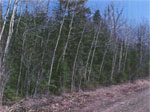 Castle Highlands Golf Course Lots for Sale